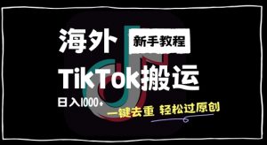 2024最新海外TikTok搬运玩法，一键去重轻松过原创，新手无经验也能日入1k【揭秘】-致富资源库