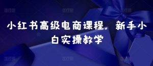 小红书高级电商课程,新手小白实操教学-致富资源库