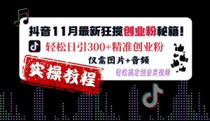抖音11月最新狂揽创业粉秘籍,轻松日引300+精准创业粉,仅需图片+音频,轻松搞定创业类视频-致富资源库