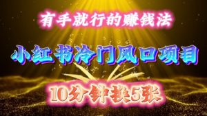 每天 10 分钟,小红书冷门风口项目开启,有手就行的搬运赚钱法,小白日入500 +【揭秘】-致富资源库