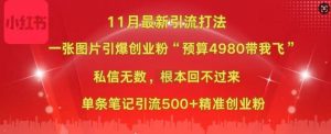小红书11月最新图片打粉,一张图片引爆创业粉,“预算4980带我飞”,单条引流500+精准创业粉-致富资源库