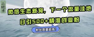 微信生态新宠小绿书:下一个流量洼地,日引500+精准创业粉,粉丝质量超高-致富资源库