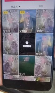 外面卖399的国学佛像原创暴力起号技术,快速起号,7天可达到一个万粉号-致富资源库