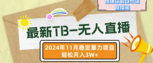 【最新TB-无人直播】11月最新,打造你的日不落直播间,轻松月入过W【揭秘】-致富资源库