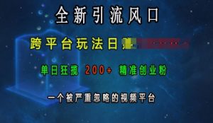 全新引流风口，跨平台玩法日入上k，单日狂揽200+精准创业粉，一个被严重忽略的视频平台-致富资源库