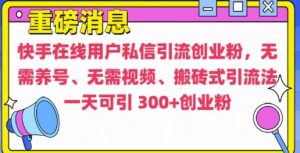 快手最新引流创业粉方法,无需养号、无需视频、搬砖式引流法【揭秘】-致富资源库