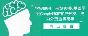 学完即用,带你实操0基础学会Google精准客户开发,成为外贸业务高手-致富资源库