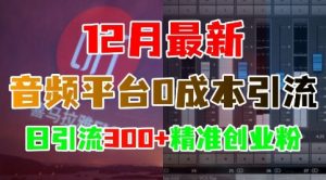 12月最新：音频平台0成本引流，日引流300+精准创业粉-致富资源库