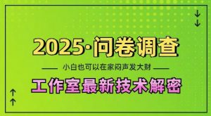 2025问卷调查最新工作室技术解密:一个人在家也可以闷声发大财,小白一天2张,可矩阵放大【揭秘】-致富资源库