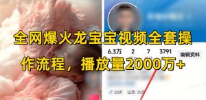 全网爆火龙宝宝视频全套操作流程，播放量2000万+-致富资源库