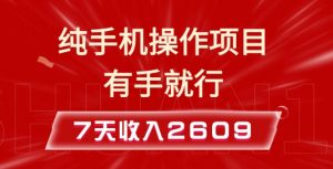 纯手机操作的小项目，有手就能做，7天收入2609+实操教程【揭秘】-致富资源库