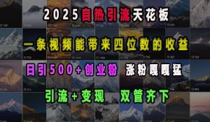 2025自热引流天花板,一条视频能带来四位数的收益,引流+变现双管齐下,日引500+创业粉,涨粉嘎嘎猛-致富资源库