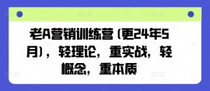 老A营销训练营(更24年12月)，轻理论，重实战，轻概念，重本质-致富资源库