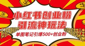 小红书创业粉引流神玩法,单图笔记引爆500+精准创业粉丝,私信狂潮接连不断-致富资源库