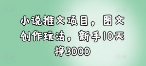 小说推文项目，图文创作玩法，新手10天挣3000-致富资源库