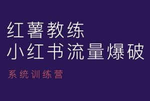 红薯教练-小红书内容运营课,小红书运营学习终点站-致富资源库