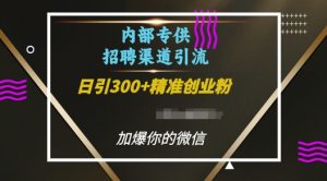 内部招聘渠道日引流300+创业粉，加爆你的微信【揭秘】-致富资源库