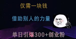 仅需一块钱，借助别人的力量，单日引爆300+创业粉、兼职粉【揭秘】-致富资源库