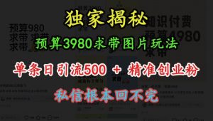 预算3980求带 图片玩法,单条日引流500+精准创业粉,私信根本回不完-致富资源库