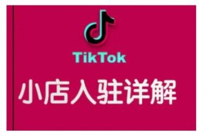 TikTok跨境小店运营全攻略,帮助你独立运营TK跨境小店的能力,实现销量增长-致富资源库