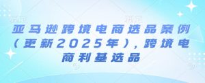 亚马逊跨境电商选品案例(更新2025年)，跨境电商利基选品-致富资源库