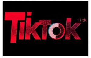 TikTok ads投流秘籍，涵盖tiktok整体投放思路，教你搭建测试计划-致富资源库
