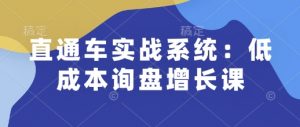 直通车实战系统:低成本询盘增长课,让个人通过技能实现升职加薪,让企业低成本获客,订单源源不断-致富资源库