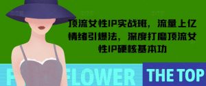 顶流女性IP实战班,流量上亿情绪引爆法,深度打磨顶流女性IP硬核基本功-致富资源库