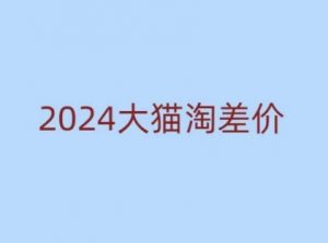 2024版大猫淘差价课程，新手也能学的无货源电商课程-致富资源库