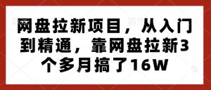 网盘拉新项目,从入门到精通,靠网盘拉新3个多月搞了16W-致富资源库