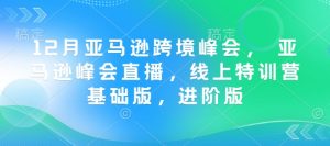 12月亚马逊跨境峰会， 亚马逊峰会直播，线上特训营基础版，进阶版-致富资源库