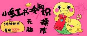 小红书冷知识账号，无脑复制粘贴，5分钟即可变现3张-致富资源库