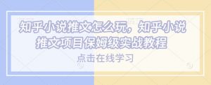 知乎小说推文怎么玩，知乎小说推文项目保姆级实战教程-致富资源库