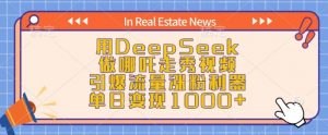 用DeepSeek做哪吒走秀视频，引爆流量涨粉利器，单日变现1k-致富资源库