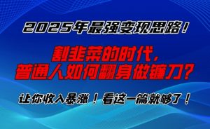 2025年最强变现思路，割韭菜的时代， 普通人如何翻身做镰刀？【揭秘】-致富资源库