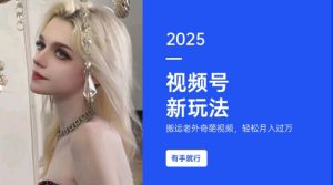 搬运老外奇葩视频，撸视频号分成计划收益，每天只需一小时，新手小白轻松月入过W-致富资源库