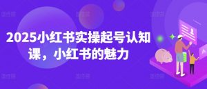 2025小红书实操起号认知课，小红书的魅力-致富资源库