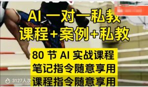 AI指令实战课，课程+案例，80节AI实战课程，笔记指令随意享用，课程指令随意享用-致富资源库