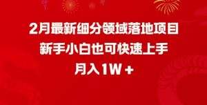 2月最新细分领域落地项目,新手小白也可快速上手,月入1W-致富资源库