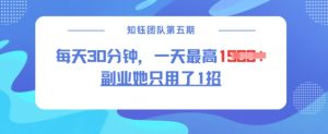 副业她只用了1招，每天30分钟，无脑二创，一天最高1.5k-致富资源库