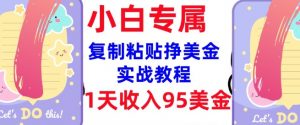 复制粘贴挣美金，0门槛，1天收入95美刀，3分钟学会，内部教程(首次公开)-致富资源库