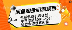 闲鱼淘金私域引流计划，从0开始玩转闲鱼，副业也可以挣到全职的工资-致富资源库