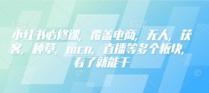 小红书必修课，覆盖电商，无人，获客，种草，mcn，直播等多个板块，看了就能干-致富资源库