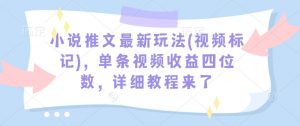 小说推文最新玩法(视频标记)，单条视频收益四位数，详细教程来了-致富资源库