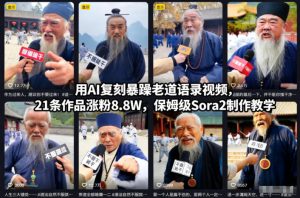 用AI复刻暴躁老道语录视频,21条作品涨粉8.8W,保姆级Sora2制作教学-致富资源库