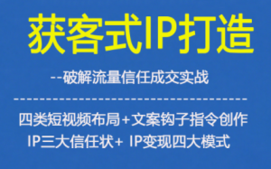 获客型IP打造,破解流量信任成,四类短视频布局+文案钩子指令创作IP三大信任状+IP变现四大模式-致富资源库