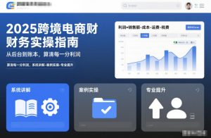 2025跨境电商财务实操指南，从后台到账本，算清每一分利润，系统讲解-案例实操-专业提升-致富资源库