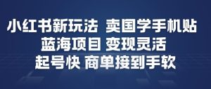 小红书新玩法，卖国学手机贴，蓝海项目，变现灵活，起号快，商单接到手软-致富资源库