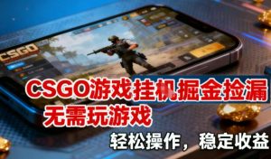 CSGO游戏挂G掘金捡漏，不需要玩游戏，操作简单，收益稳定【揭秘】-致富资源库