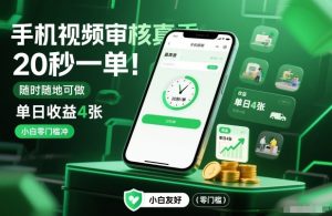 手机视频审核真香！20秒一单，随时随地可做，单日收益4张，小白零门槛冲【揭秘】-致富资源库